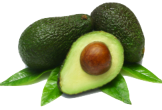 Avocat