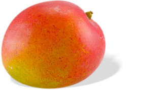 Mangue